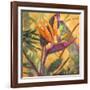 Splash of the Tropics I-Nanette Oleson-Framed Art Print