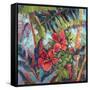 Splash of the Tropics II-Nanette Oleson-Framed Stretched Canvas