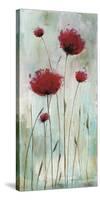 Splash Poppies I-Catherine Brink-Stretched Canvas