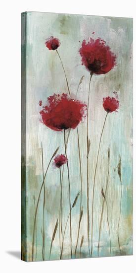 Splash Poppies I-Catherine Brink-Stretched Canvas