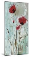 Splash Poppies II-Catherine Brink-Mounted Art Print