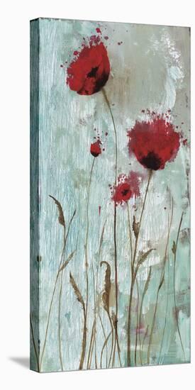 Splash Poppies II-Catherine Brink-Stretched Canvas