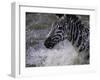 Splash-Art Wolfe-Framed Photographic Print