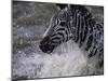 Splash-Art Wolfe-Mounted Photographic Print