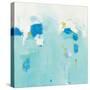 Splash-Phyllis Adams-Stretched Canvas