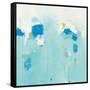 Splash-Phyllis Adams-Framed Stretched Canvas