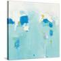 Splash-Phyllis Adams-Stretched Canvas