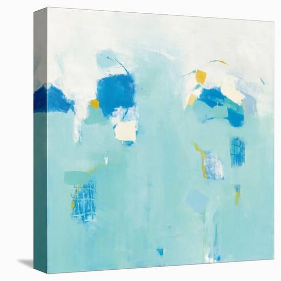 Splash-Phyllis Adams-Stretched Canvas