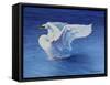 Splashdown-Tanja Ware-Framed Stretched Canvas