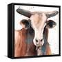 Splashed Blue Bull-Victoria Brown-Framed Stretched Canvas