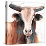 Splashed Blue Bull-Victoria Brown-Stretched Canvas