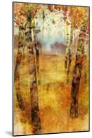 Splashes of Fall-Ken Roko-Mounted Art Print