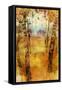 Splashes of Fall-Ken Roko-Framed Stretched Canvas