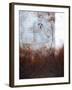 Splashy Umber I-Herb Dickinson-Framed Photographic Print