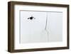 Splatter-Alfredo Yanez-Framed Photographic Print