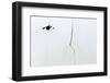 Splatter-Alfredo Yanez-Framed Photographic Print