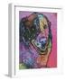 Splatter-Dean Russo-Framed Giclee Print