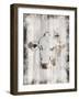 Splattered Cow-Marcus Prime-Framed Art Print