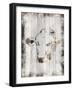 Splattered Cow-Marcus Prime-Framed Art Print