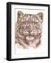 Splended-Barbara Keith-Framed Giclee Print