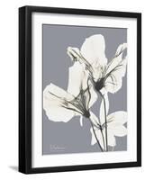 Splendid Autumn Beauty 2-Albert Koetsier-Framed Art Print