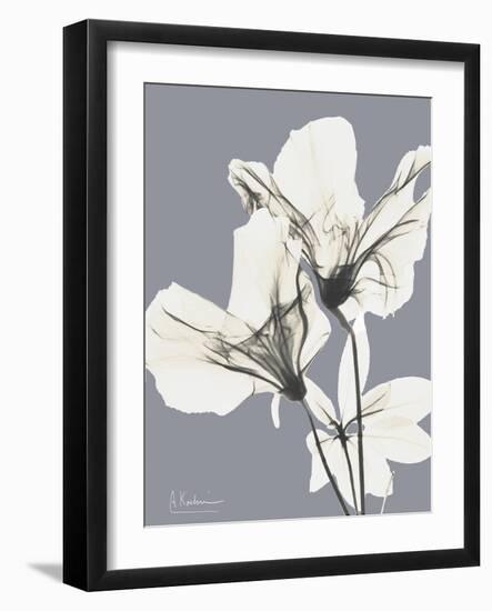 Splendid Autumn Beauty 2-Albert Koetsier-Framed Art Print