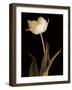 Splendid Beauty-Charles Britt-Framed Giclee Print