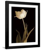 Splendid Beauty-Charles Britt-Framed Giclee Print