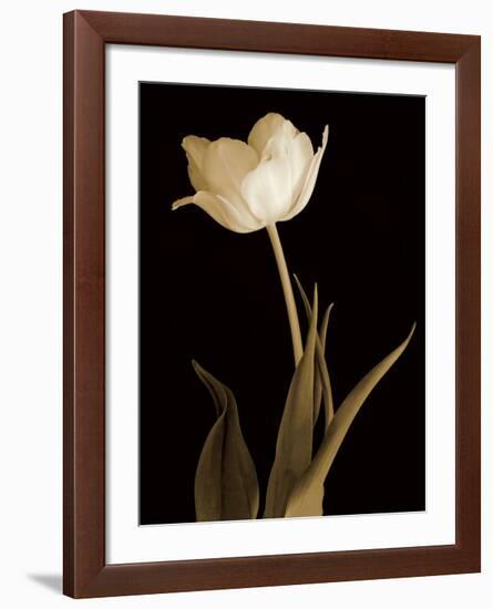 Splendid Beauty-Charles Britt-Framed Giclee Print