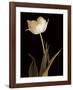 Splendid Beauty-Charles Britt-Framed Giclee Print