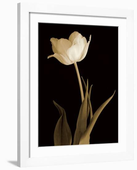 Splendid Beauty-Charles Britt-Framed Giclee Print