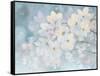 Splendid Bloom-James Wiens-Framed Stretched Canvas