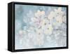 Splendid Bloom-James Wiens-Framed Stretched Canvas
