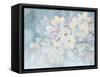 Splendid Bloom-James Wiens-Framed Stretched Canvas