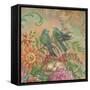 Splendid Botanical II-Kate McRostie-Framed Stretched Canvas