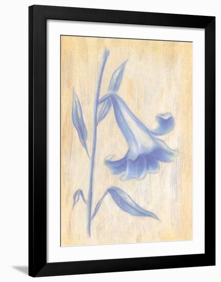 Splendid II-Lewman Zaid-Framed Art Print