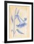 Splendid II-Lewman Zaid-Framed Art Print