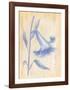Splendid II-Lewman Zaid-Framed Art Print