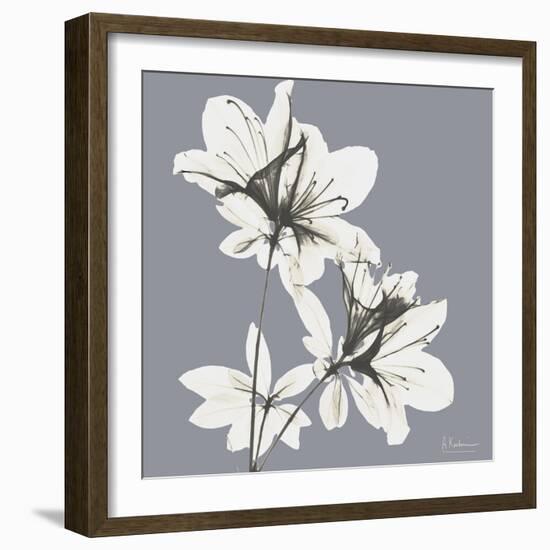 Splendid Neutral Beauty 1-Albert Koetsier-Framed Art Print