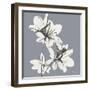 Splendid Neutral Beauty 1-Albert Koetsier-Framed Art Print