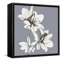 Splendid Neutral Beauty 1-Albert Koetsier-Framed Stretched Canvas