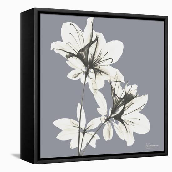 Splendid Neutral Beauty 1-Albert Koetsier-Framed Stretched Canvas