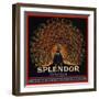 Splendor Brand - San Fernando, California - Citrus Crate Label-Lantern Press-Framed Art Print