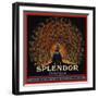 Splendor Brand - San Fernando, California - Citrus Crate Label-Lantern Press-Framed Art Print