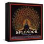 Splendor Brand - San Fernando, California - Citrus Crate Label-Lantern Press-Framed Stretched Canvas