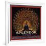 Splendor Brand - San Fernando, California - Citrus Crate Label-Lantern Press-Framed Art Print