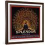 Splendor Brand - San Fernando, California - Citrus Crate Label-Lantern Press-Framed Art Print