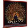 Splendor Brand - San Fernando, California - Citrus Crate Label-Lantern Press-Mounted Art Print