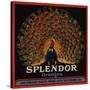 Splendor Brand - San Fernando, California - Citrus Crate Label-Lantern Press-Stretched Canvas