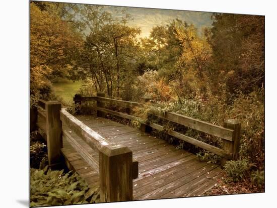 Splendor Bridge-Jessica Jenney-Mounted Giclee Print